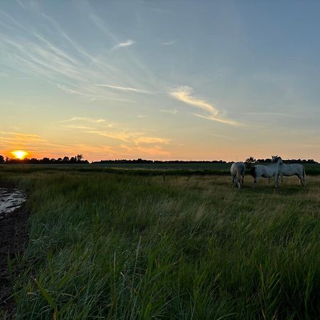 נורדבורג Nedlagt Gard I Naturen Med Ro Og Fred Og Samtidig Taet Pa Strand Og Fiskeri Og Indkobsmuligheder מראה חיצוני תמונה
